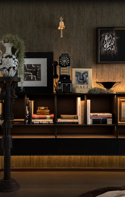 西安经发·白桦林天成200㎡样板间